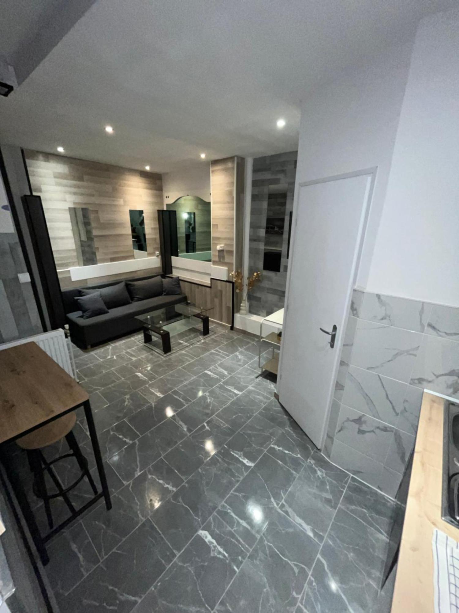 Appartement Moderne Centre Ville De Dijon Kültér fotó