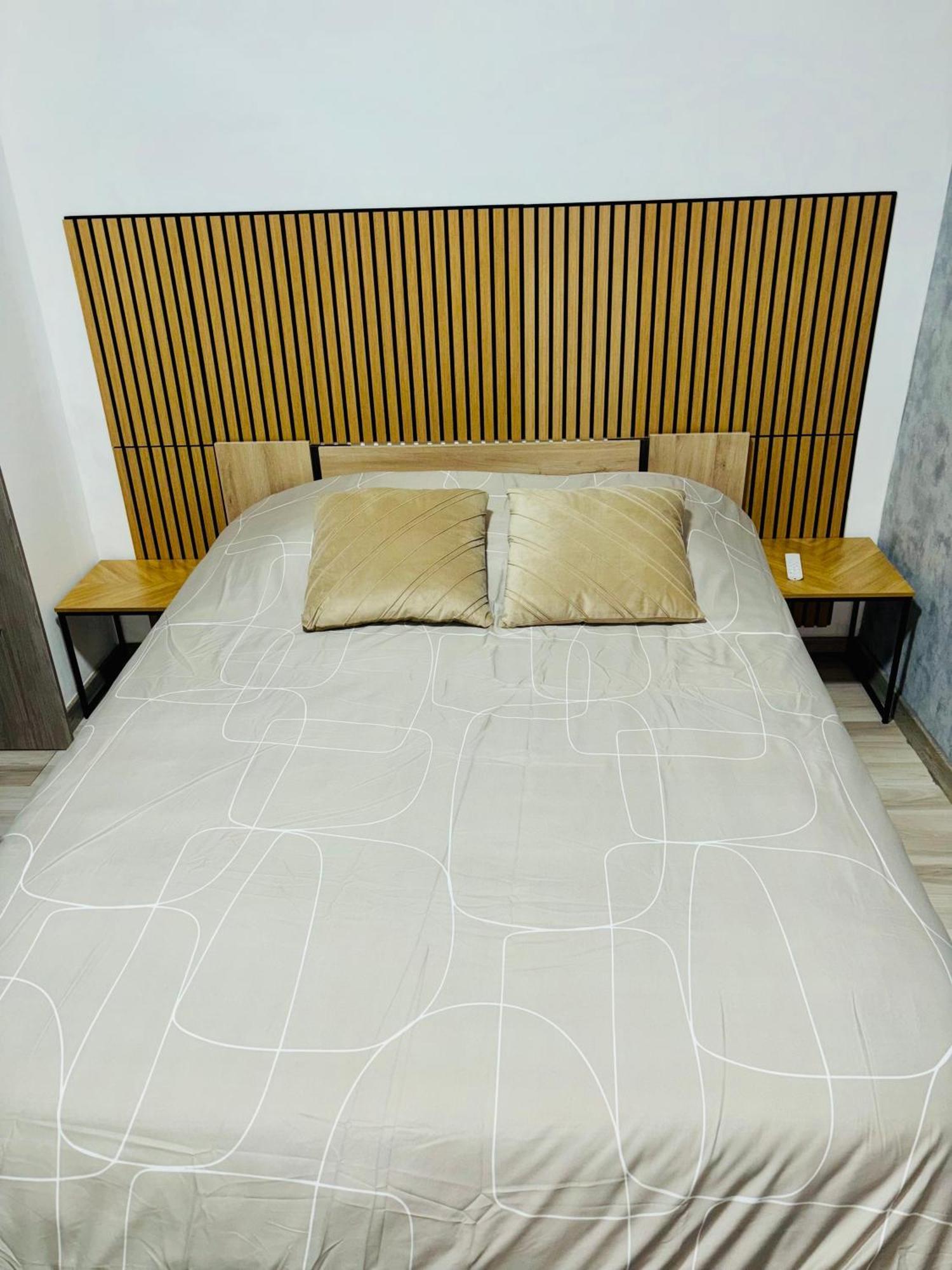 Appartement Moderne Centre Ville De Dijon Kültér fotó