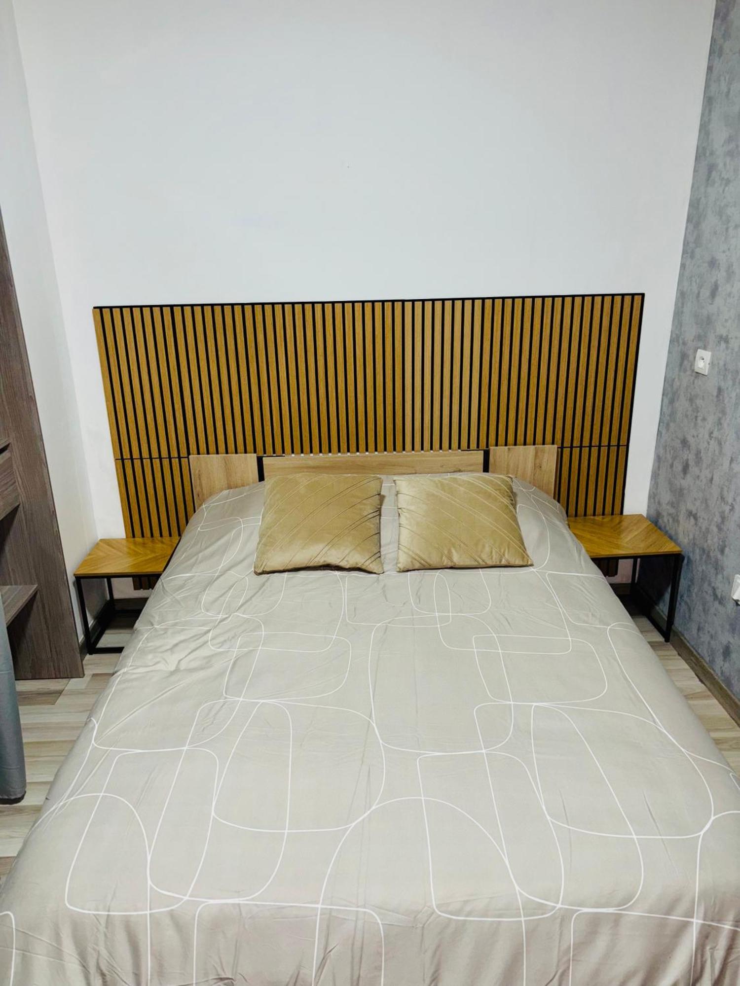 Appartement Moderne Centre Ville De Dijon Kültér fotó